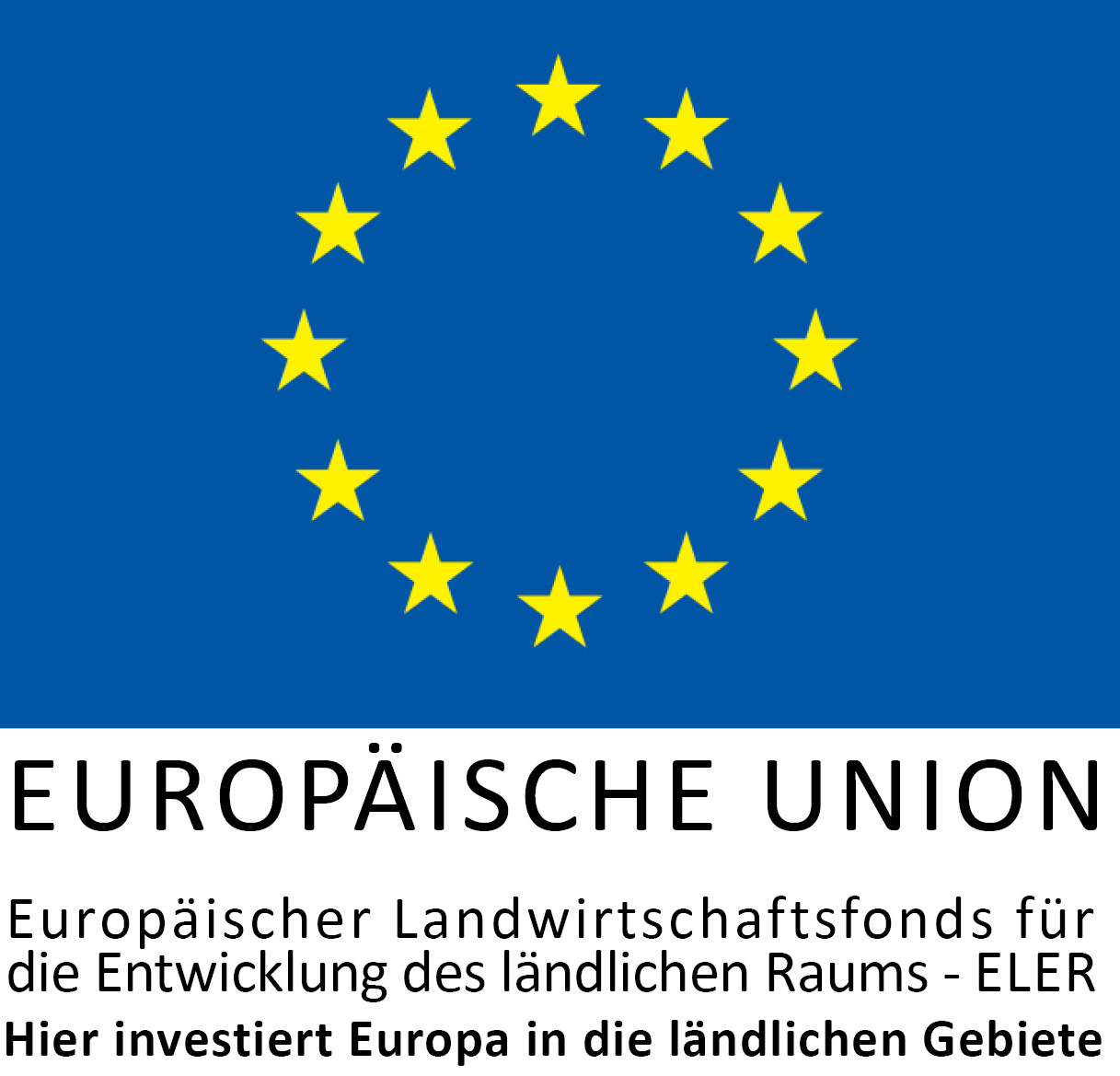 Logo EU